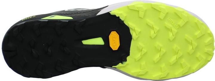 Actual product image Dynafit Alpine DNA 2 running shoes unisex (42)