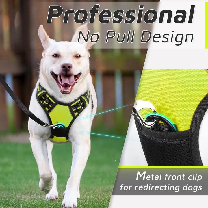 Image du produit Eagloo Harnais pour chien (XL, Chien, Général, Promenade)