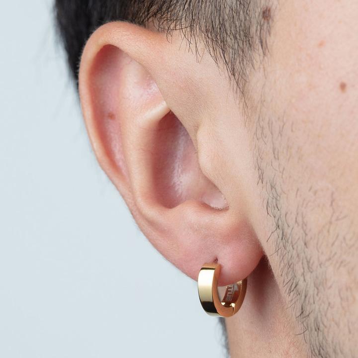 Actual product image Lotus Style LS2160-4/4 Earrings (Stainless steel)