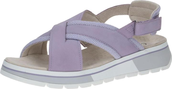 Purple combo