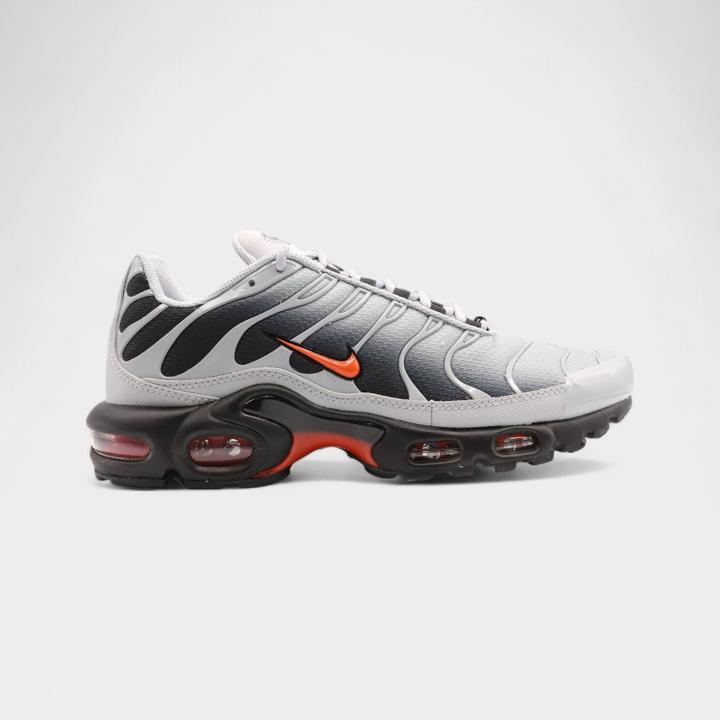 Nike Air Max Plus (46)