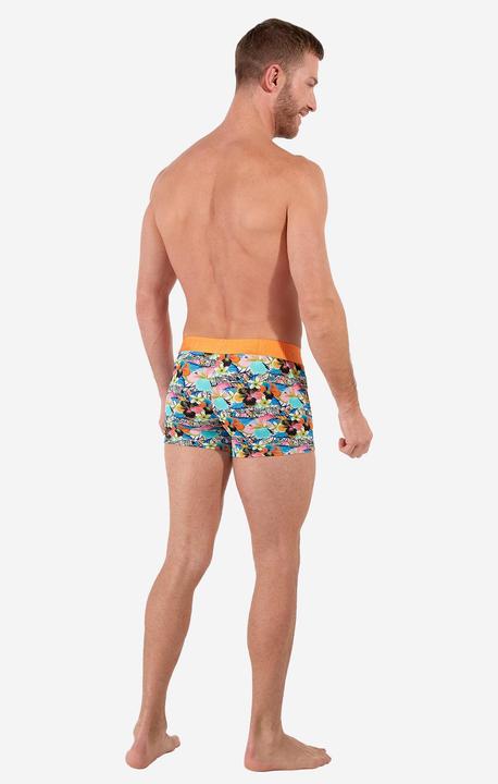 Immagine prodotto HOM Retro Boxer Funky Style HO1 (L, Confezione singola)