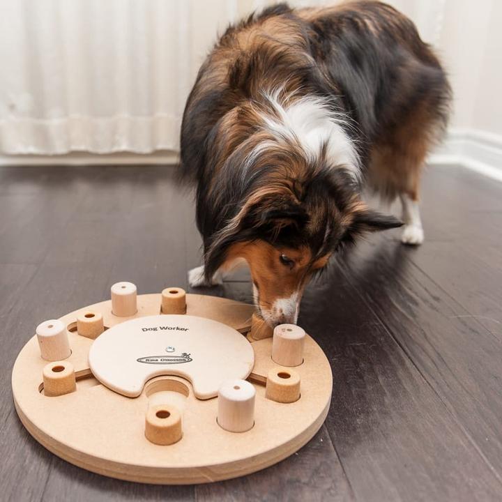 Actual product image Nina Ottosson Nina Ottoson Dog Worker Composite (Tug toy dog)