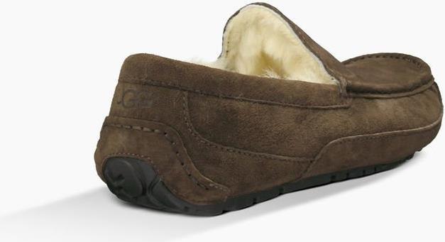 Image du produit Ugg Ascot (42)