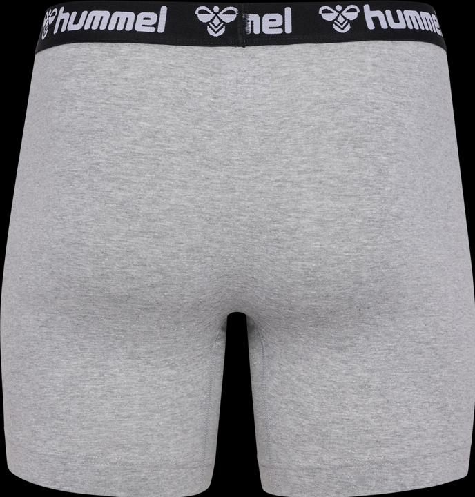 Image du produit hummel Hmlboxers 2-Pack (L)