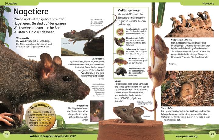 Produktbild DK Kinderlexikon Tiere (Deutsch, DK Verlag - Kids, 2023)