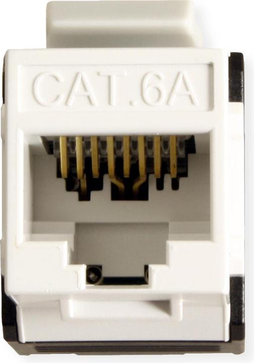 Image du produit Roline Cat.6a Keystone Jack (Module Keystone)
