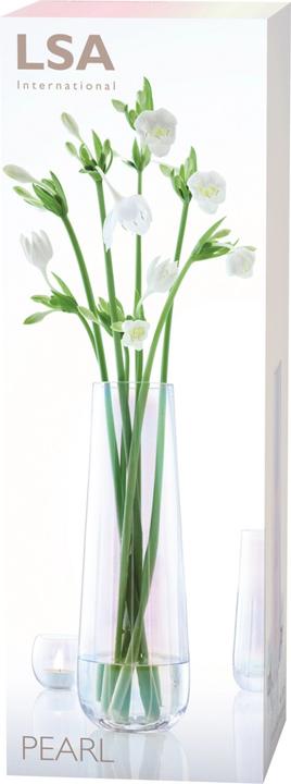 Image du produit LSA Pearl (1 x, 12 x 12 x 36 cm)