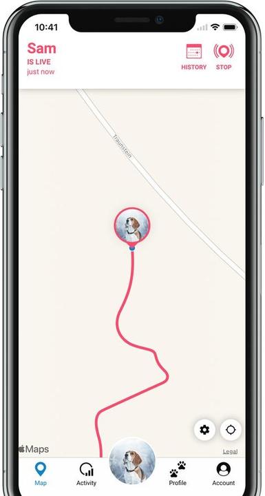 Actual product image Tractive Dog 4 GPS Tracker for Dogs (One size, Dog, General)