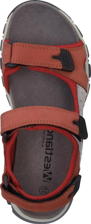 Actual product image Westland 25802-TE508 (40)