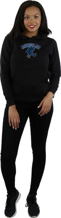 Produktbild Kapuzenpullover (XL)