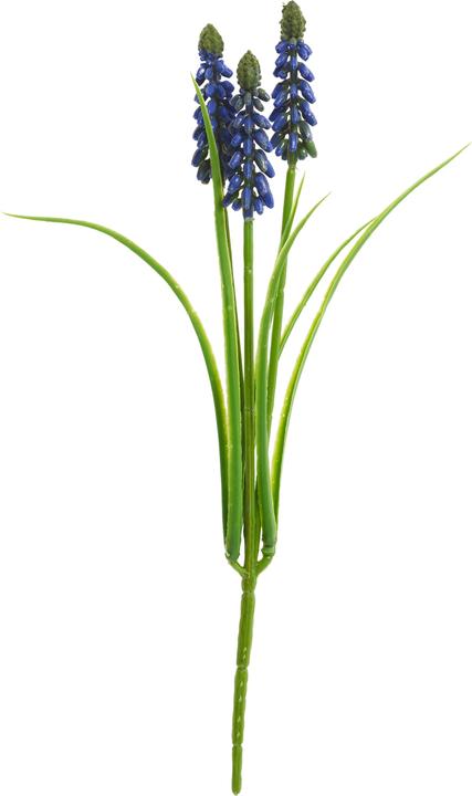 Produktbild DPI Perlhyazinthe mit 3 Blütenstängel, L ca. 29 cm