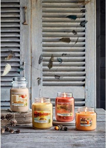 Image du produit Yankee Candle Voyage sur la route de Woodland (411 g)