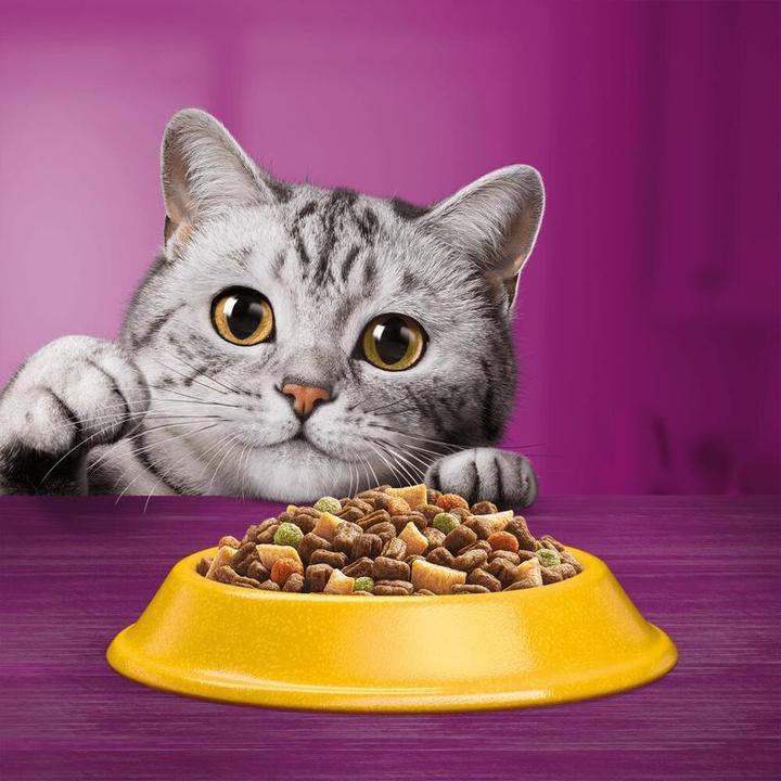 Actual product image Whiskas Dry Chicken Selection 7+ 950g (Senior, 1 pcs., 950 g)