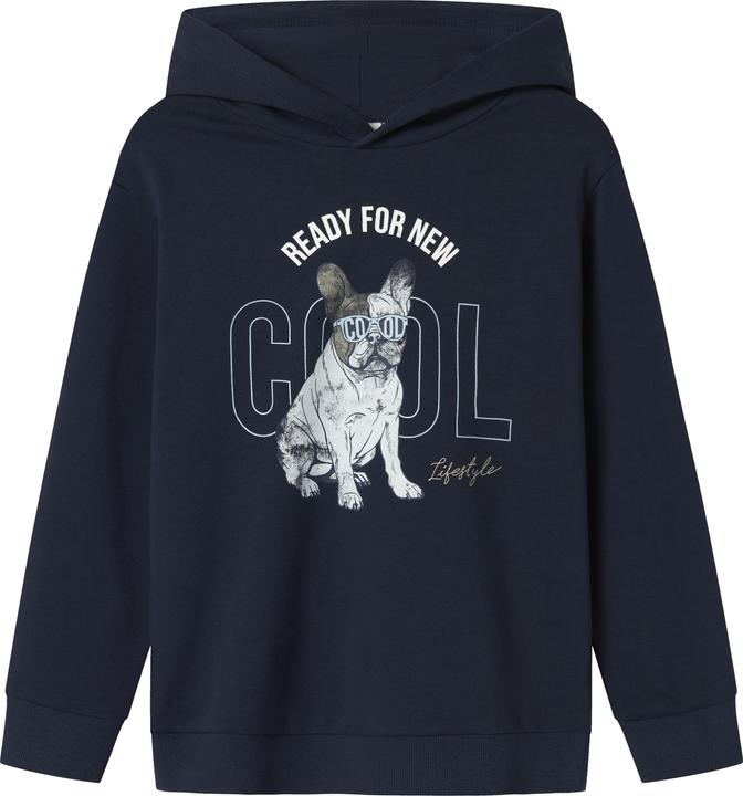 Name it Regular Fit Hoodie (158)