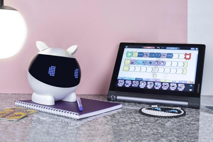 Actual product image Mainbot Robot Winky (French)