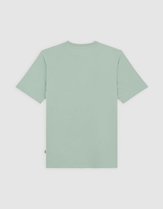 Actual product image Dickies Ss Mapleton Tee Iceberg Green (L)