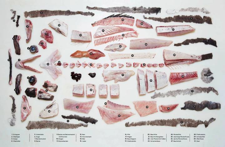 Actual product image Der ganze Fisch: Rezepte von der Flosse bis zur Kieme (German, Josh Niland, 2021)