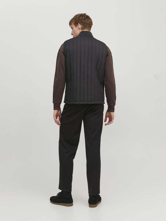 Image du produit Jack & Jones Gilet léger (L)