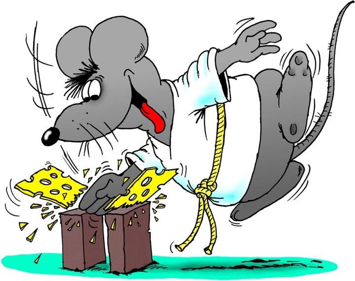 Immagine prodotto Uli Stein Cartoon-Geschenke: Uli Stein – Mäuse! (Tedesco, Pietra Uli, 2022)
