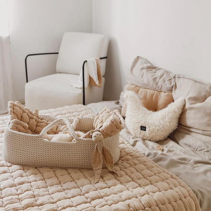 Actual product image Lil Things Couffin Moïse avec matelas