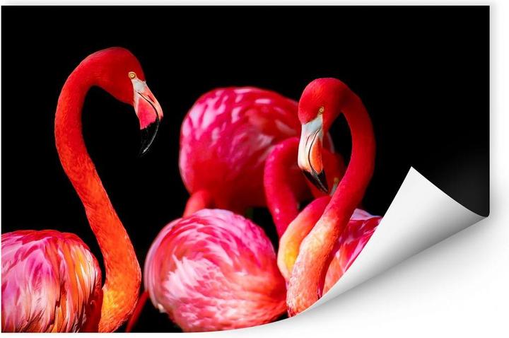 Actual product image Trenddeko Pink Flamingo (60 x 40 cm)