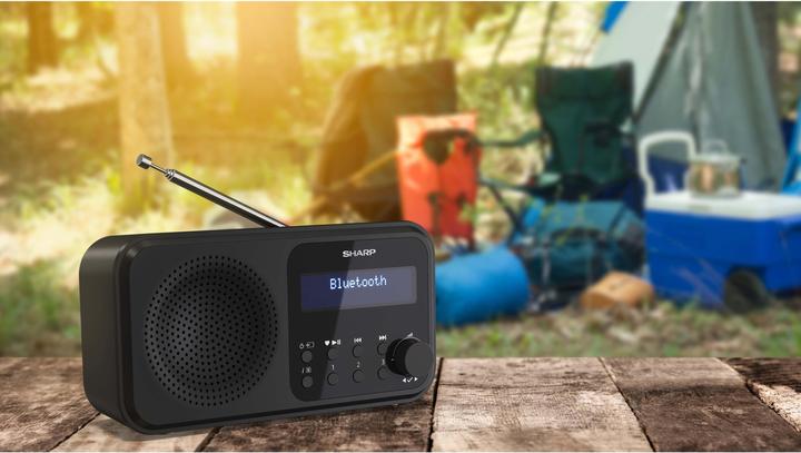 Produktbild Sharp DR-P420 (DAB+, FM, DAB, Bluetooth)