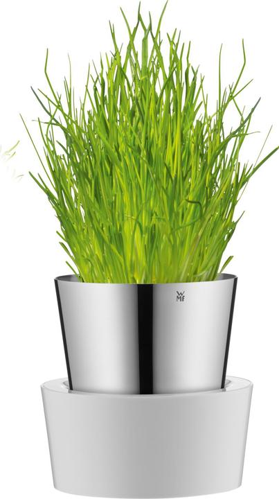 Actual product image Auerhahn Kräutertopf (12.80 cm)