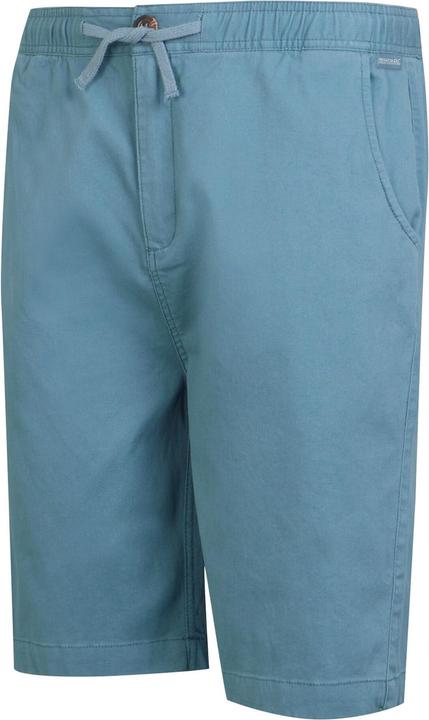 Image du produit Regatta - Short ALDAN - Homme (30)