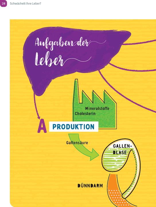 Image du produit Wunderleicht Leberreinigung (Allemand, Dl Mabon Wunder BSc, Lulit wonder, 2024)
