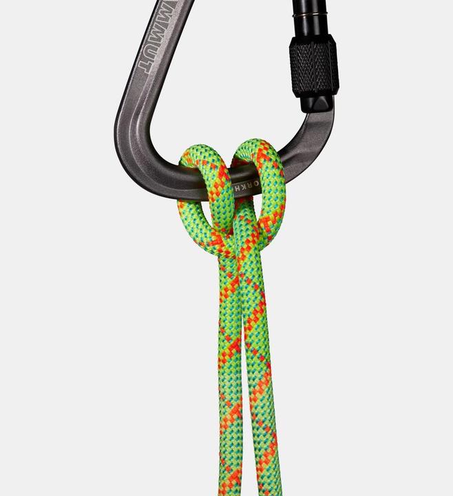 Produktbild Mammut 8.0 Alpine Core Protect Dry Rope (70 m)