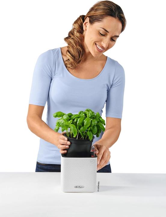 Immagine prodotto Lechuza cubo (14 cm)