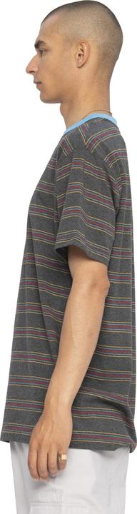 Image du produit Santa Cruz Classic Strip Stripe T-Shirt (M)