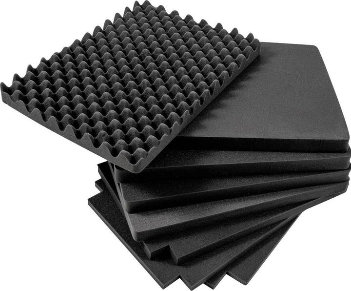 Image du produit B+W Schaumstoffeinsatz SI Für Typ 6800 (Mallette photo)