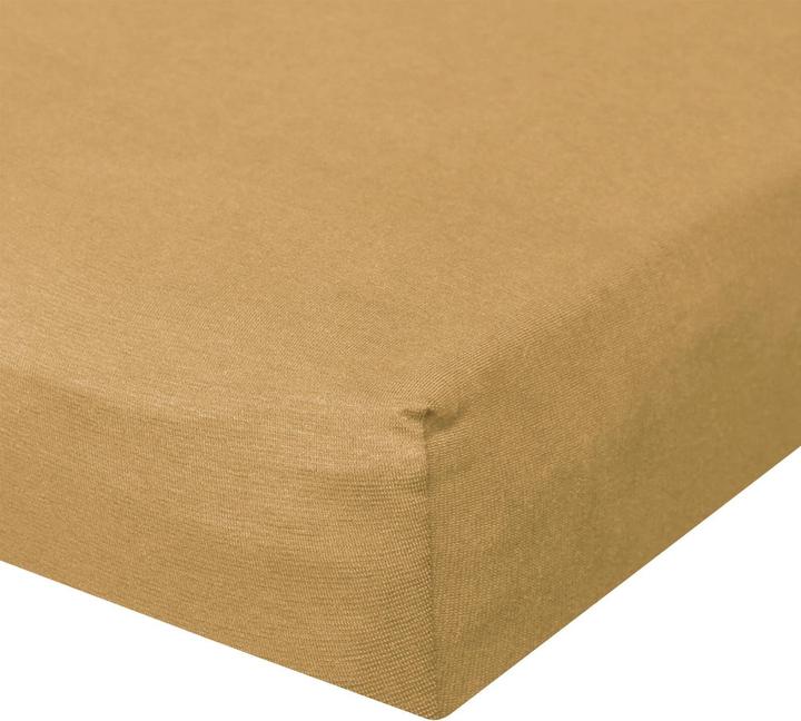 Sahara