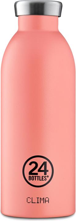 Blush Rose