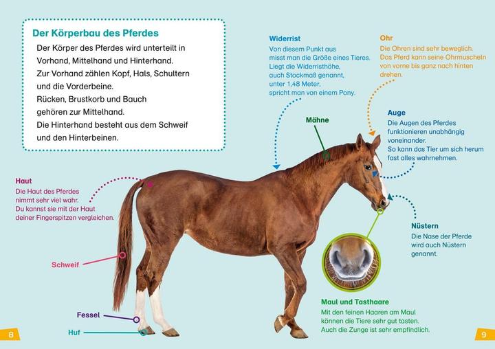 Actual product image Tessloff WAS IST WAS Erstes Lesen Band 7. Pferde und Ponys (German, Christina Brown, Annelie Stenzel, 2019)