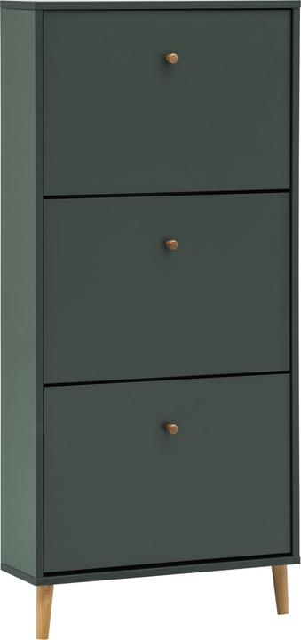 Schildmeyer Bjarne Schuhkipper Schuhschrank waldgrün 3 Klappen