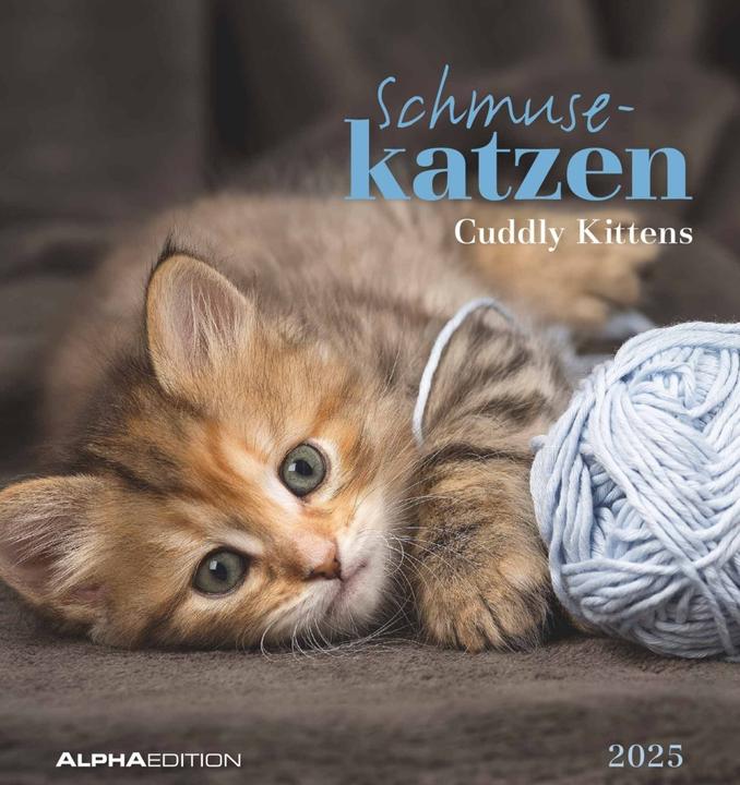 Alpha Edition Schmusekatzen 2025 Postkartenkalender, 16x17cm, Kalender mit Postkarten zum (16 x 17 cm, Harter Einband, Deutsch)