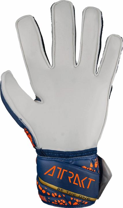 Immagine prodotto Reusch guanti da portiere per bambini attrakt solid (6.5)
