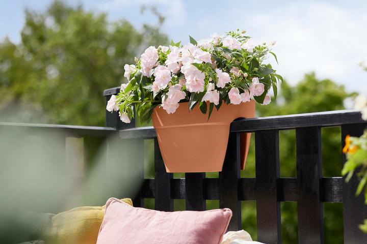 Actual product image Elho Vibia Campana Flower Bridge (26 cm)