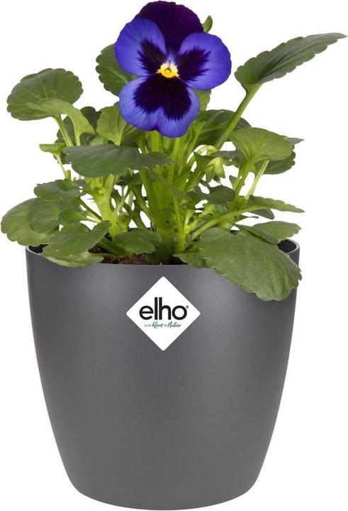 Image du produit Elho Bruxelles Mini (11 cm)