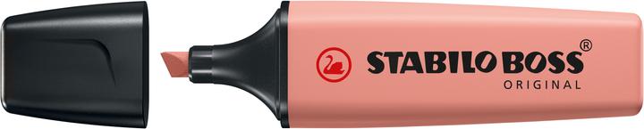 Image du produit STABILO BOSS NATURE COLORS - Marqueurs lumineux (Sienne, 5 mm, 1 x)