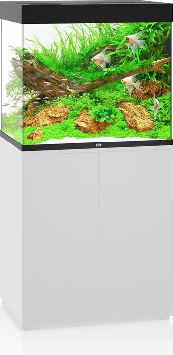 Image du produit Juwel Aquarium Aquarium Lido 200 70x51x65cm noir (200 l)