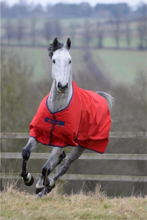 Produktbild Bucas Weidedecke Freedom Turnout Light (105 cm)