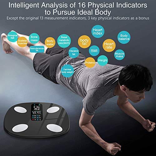 Immagine prodotto Insmart Scala di grasso corporeo (180 kg)