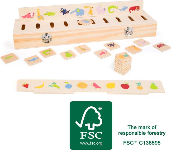 Actual product image small foot Educate picture sorting box