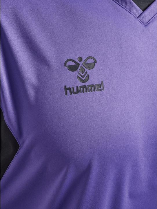 Actual product image hummel Hmlauthentic Pl Jersey S/S (M)