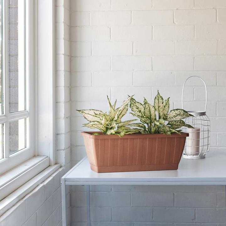 Productafbeelding Euro3plast Greener KEZAR plantenbak, hoekig, 60x20x18cm, van gerecycled plastic in terra (194 cm)