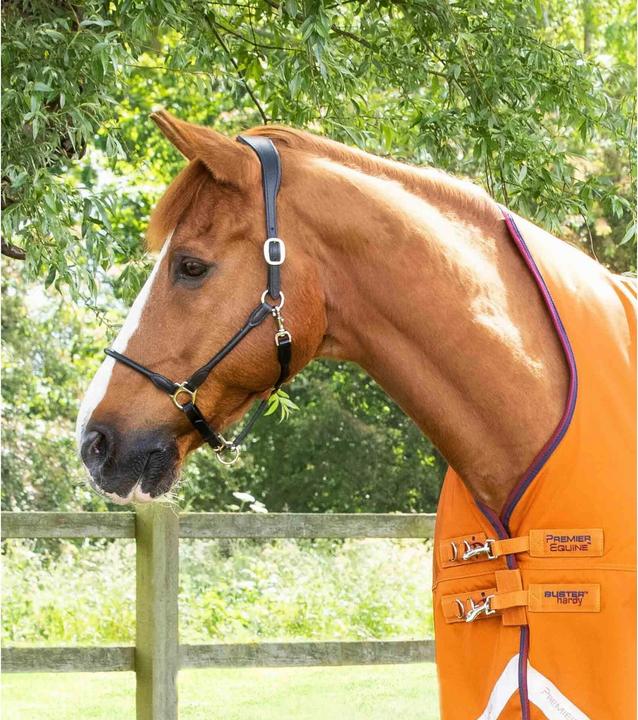 Immagine prodotto Premier Equine Buster Hardy 200 g (160 cm)